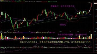 如何抓股票的铁律