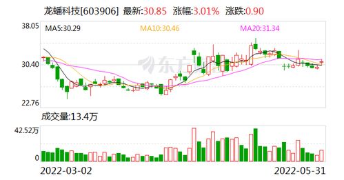 龙蟠股票如何