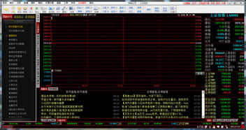 国融证券怎么操作