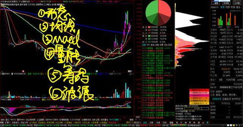 如何看股票的政策面板