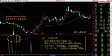 股票如何复制到软件