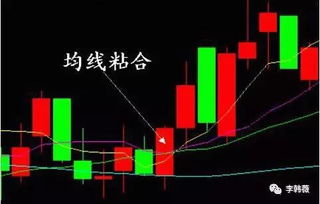 如何选择股票学习