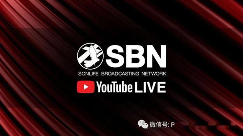有价证券怎么寄存