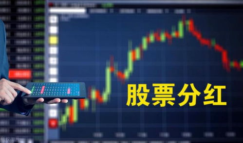 如何看自己股票分红时间