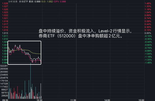 如何在海豚股票上买股票