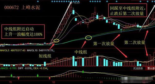 如何在海豚股票上买股票