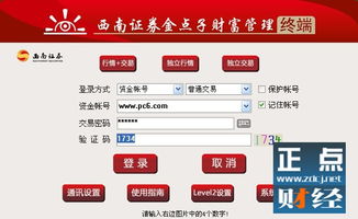 怎么下载西南证券金点子