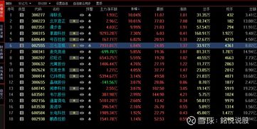 股票池的股票如何更新