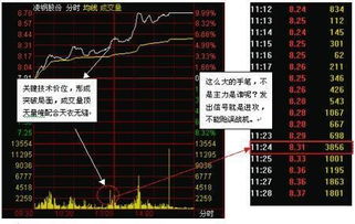 股票龙头如何区分大盘