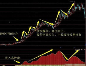 如何选股票主力控盘