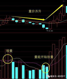 如何在股票中选股技巧
