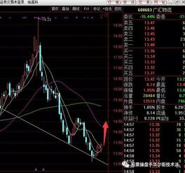怎么看东京证券个股股价