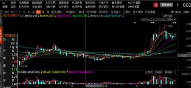 如何确定股票的股东身份