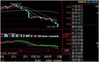 股票如何中新股