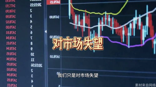 股票到底如何了