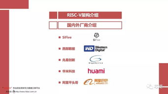 怎么查看西南证券账号 怎么查看西南证券账号