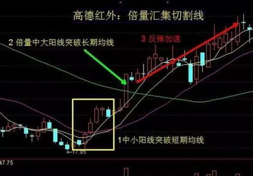 如何知道股票赚多少