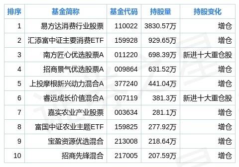 如何管理股票持仓资金