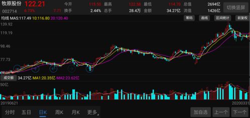 如何评价一个股票的估值
