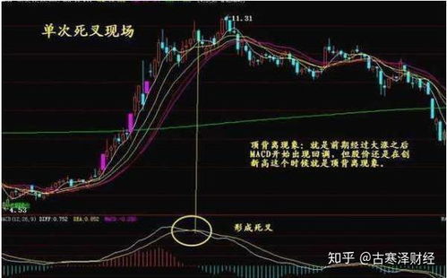 macd如何研判股票 macd如何研判股票