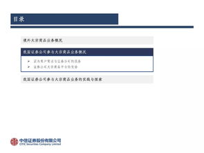中信证券怎么讲