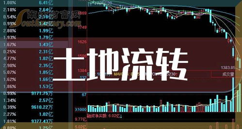 如何查询转股票