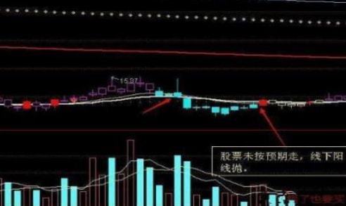 如何选标的股票