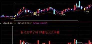 如何使股票不赔钱呢