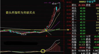 如何把握一只股票的价格