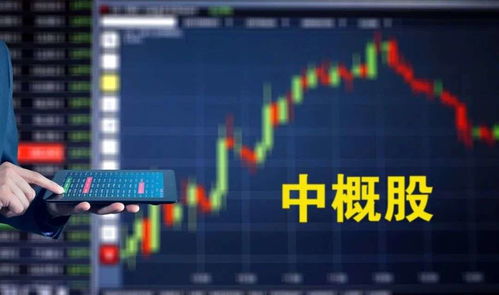 如何拿到自己的股票市值