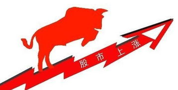 如何办理股票开户 如何办理股票开户