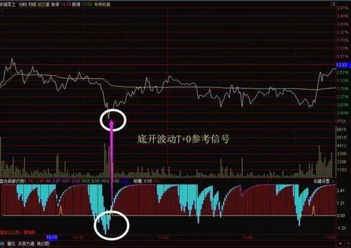 如何识别股票t