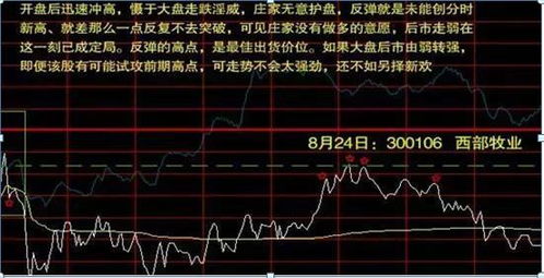 如何看股票是哪年开盘的