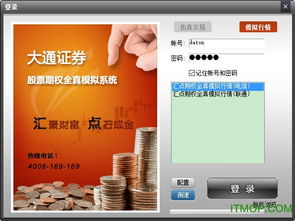 大通证券期权怎么样