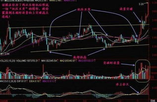 如何用成交量抓龙头股票
