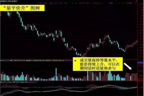 如何用成交量抓龙头股票