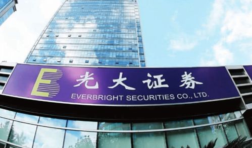 光大证券怎么确权
