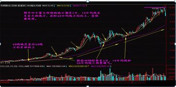 股票如何看上瘾线