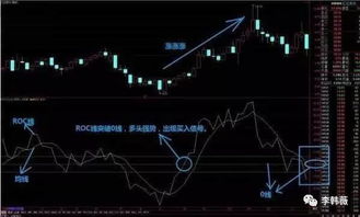 如何设置股票roc 如何设置股票roc