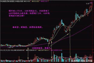 老股民如何玩好股票行情