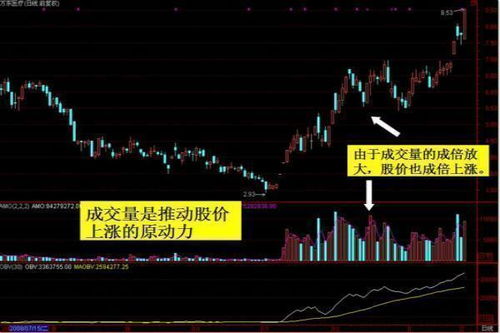 如何选股票四字真言