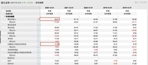 国元证券证券账户金额怎么看