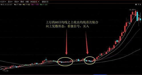 操盘手如何去跟踪股票
