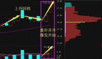 如何科学选择股票 如何科学选择股票