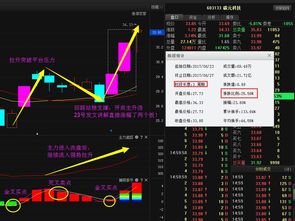 如何科学选择股票 如何科学选择股票