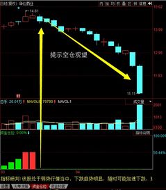 如何捕捉股票仓位数据