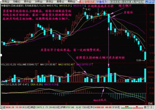 股票如何确定龙头股份