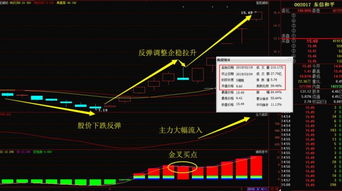 股票如何提前买进