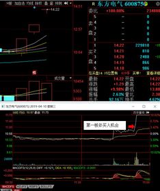 股票如何实时跟上大牛股 股票如何实时跟上大牛股