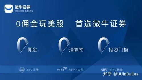 投资证券怎么选